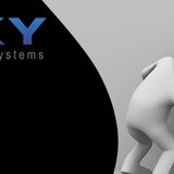 SKY Security Systems - Implementare solutii de securitate